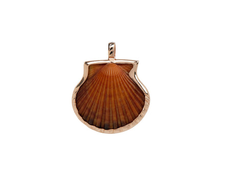 Natural Clam Shell Pendant ONLY