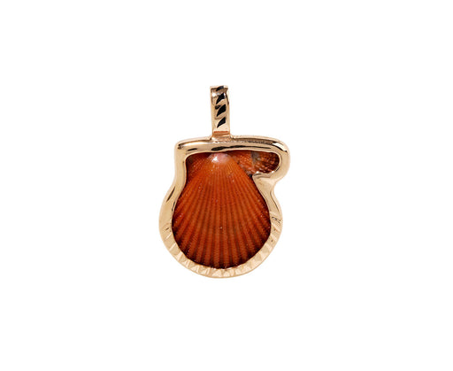 Dezso Natural Clam Shell Pendant ONLY