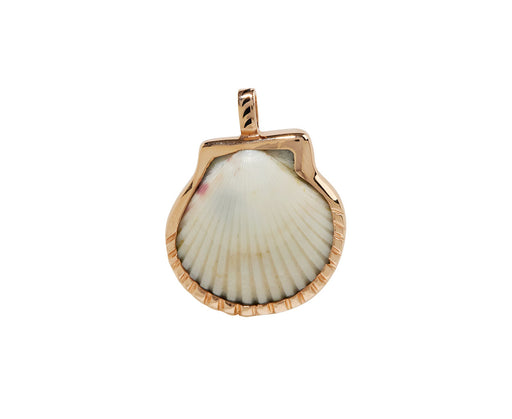 Dezso Natural Clam Shell Pendant ONLY