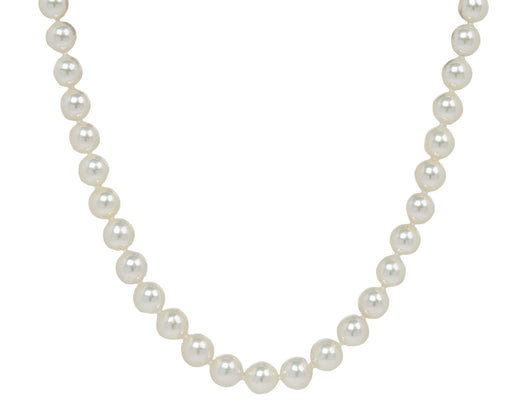 Shinkai Akoya Pearl Necklace